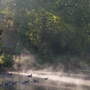 Herbstmorgen am See...... Ursula Kuklinski